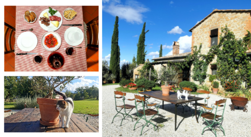 agriturismo things to do in tuscany