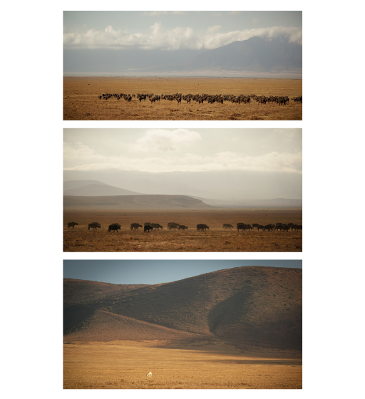 Landscapes of Ngorongoro Crater