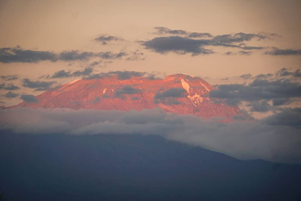 peak of mount kilimanjaro at sunset