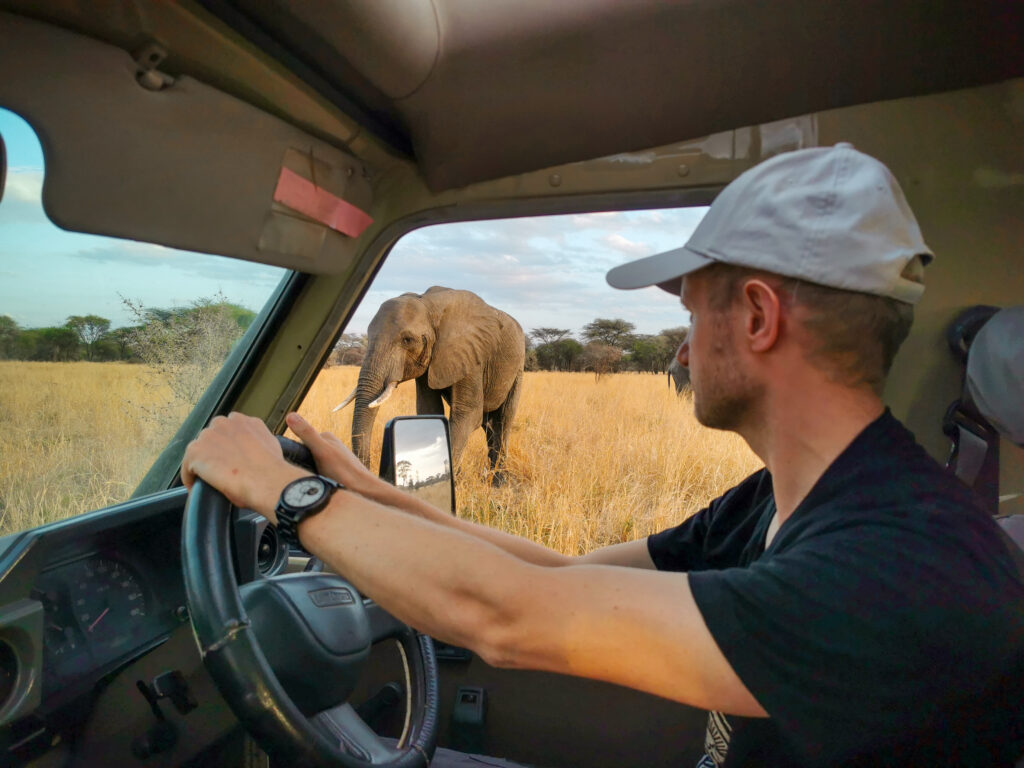 on the road safari with elephant outside of car window